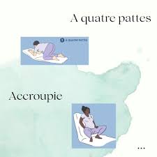 Positions à quatre pattes et accroupie
